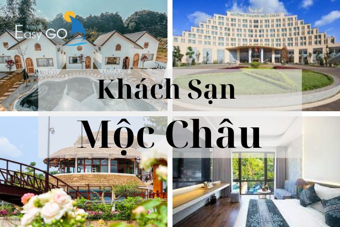 Gợi ý chọn khách sạn Mộc Châu chất lượng nhất khi du lịch Mộc Châu 2024