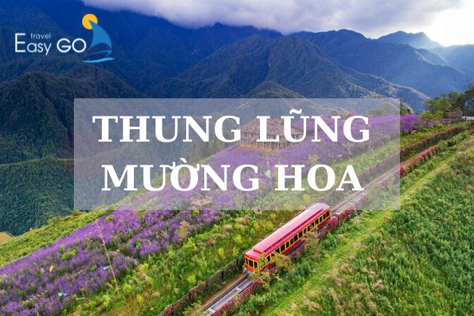 Thung lũng Mường Hoa - Thiên đường tuyệt sắc giữa mây trời Tây Bắc