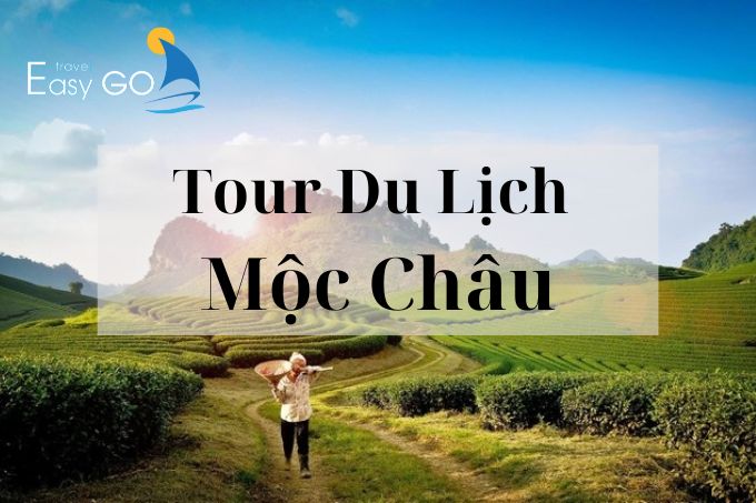 Tổng hợp các Tour du lịch Mộc Châu HOT nhất 2024
