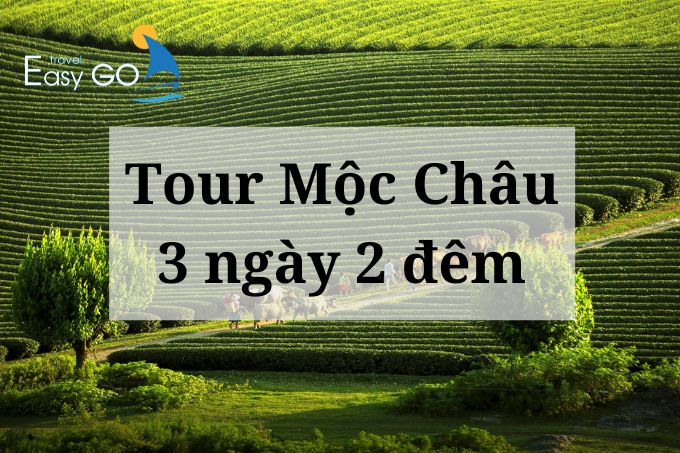 Tour Mộc Châu 3 ngày 2 đêm - hành trình khám phá Mộc Châu 3N2Đ trọn vẹn nhất