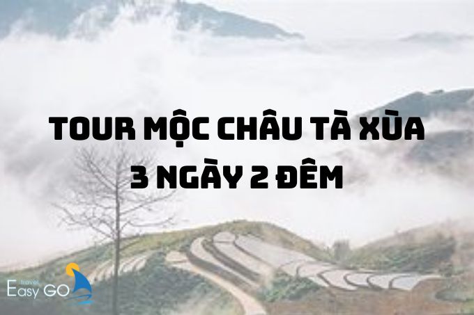 Hành trình săn mây hấp dẫn với Tour Mộc Châu Tà Xùa 3 ngày 2 đêm 