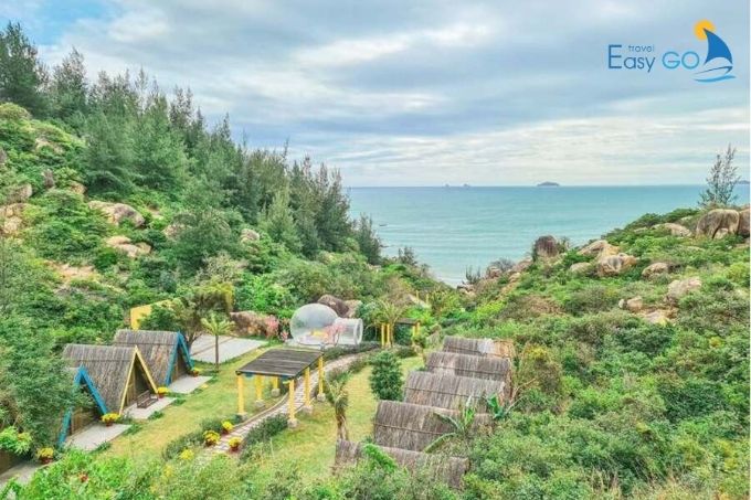 Trung Lương Quy Nhơn Có Gì Đặc Biệt Để Khám Phá