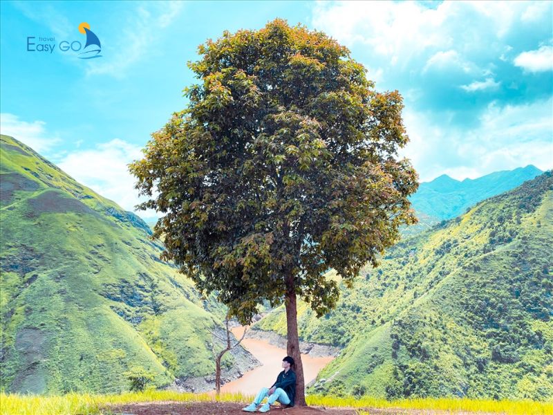 Chụp ảnh sống ảo tại Cây cô đơn