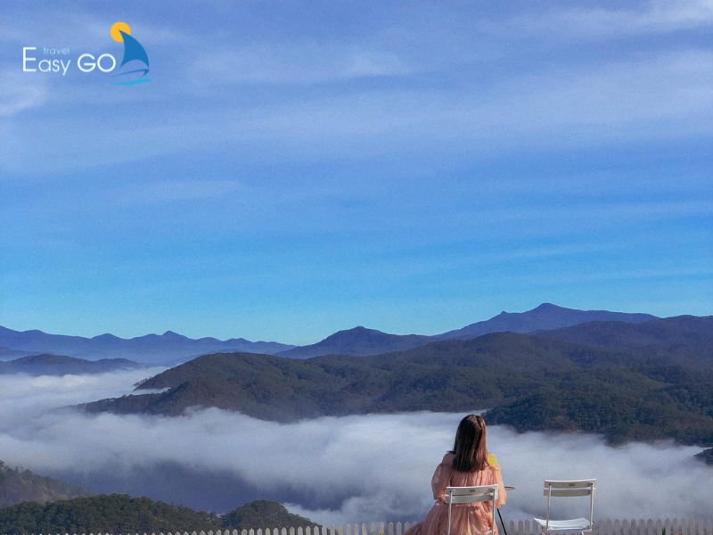 Đồi Chè Cầu Đất xanh mướt và view biển mây bao la