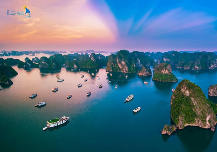 Hạ Long