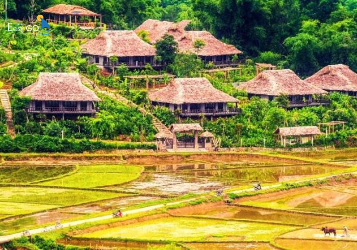 Tour du lịch dịp 2/9/2024 - Mai Châu