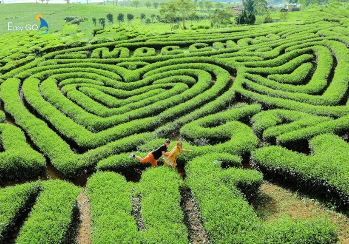 Tour du lịch lễ 2/9/2024 - Mộc Châu 3N2Đ