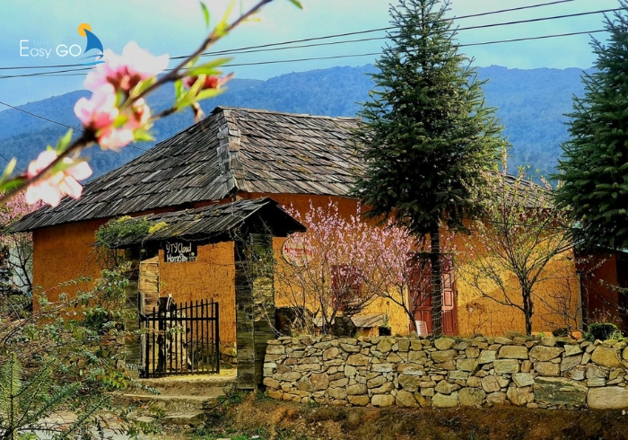 Nhà Trình homestay