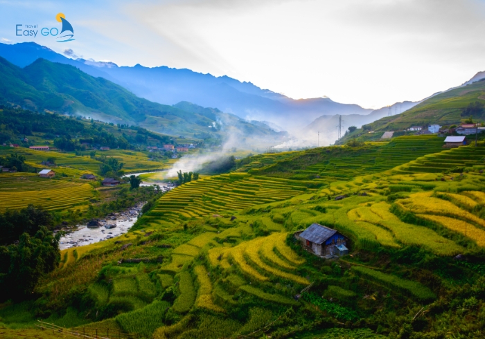 Sapa