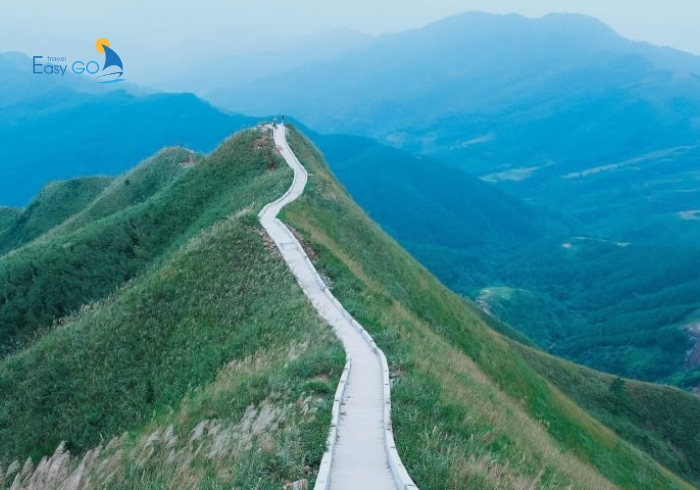 Sống lưng khủng long Háng Đồng