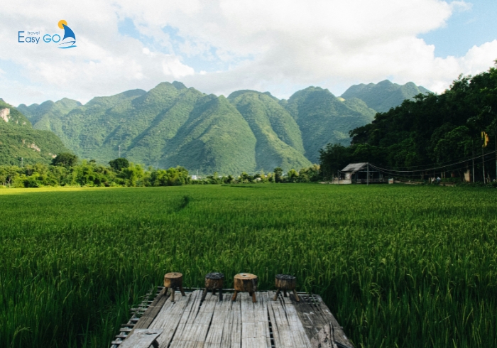 Thung lũng Mai Châu yên bình