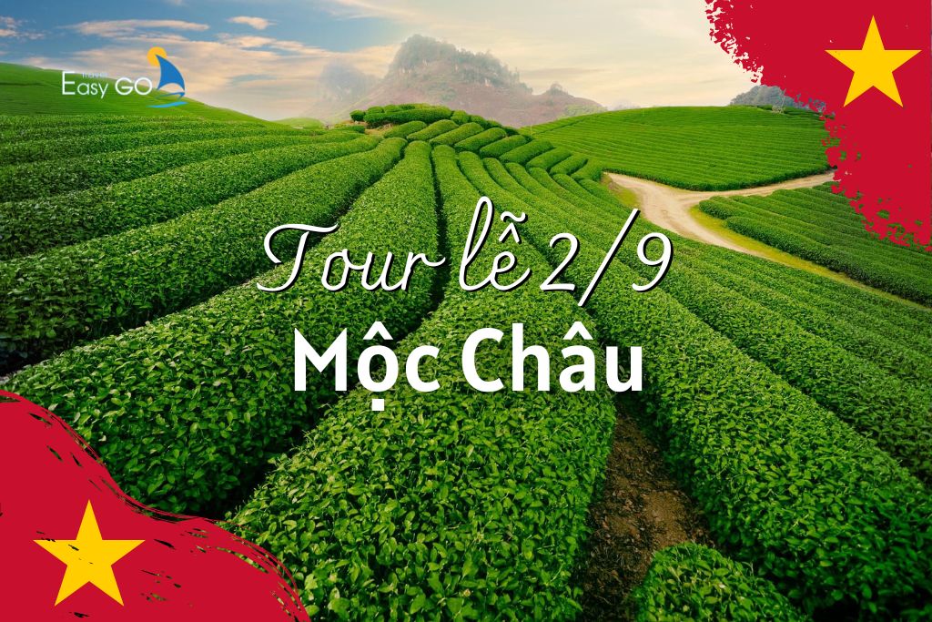 TOUR HÀ NỘI - MỘC CHÂU 3 NGÀY 2 ĐÊM | TOUR DU LỊCH LỄ 2/9