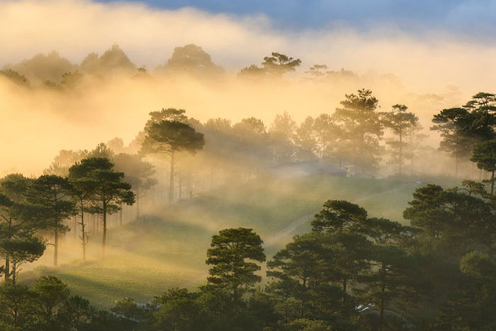 TOUR DU LỊCH HÀ NỘI - NHA TRANG - ĐÀ LẠT 4 NGÀY 3 ĐÊM