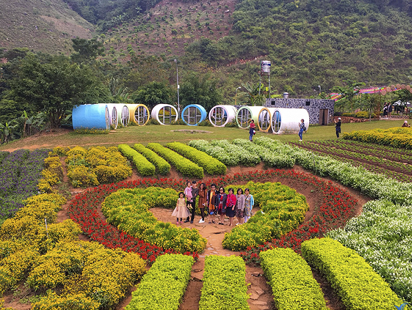 TOUR DU LỊCH MỘC CHÂU TRỌN GÓI 2 NGÀY 1 ĐÊM TỪ HÀ NỘI