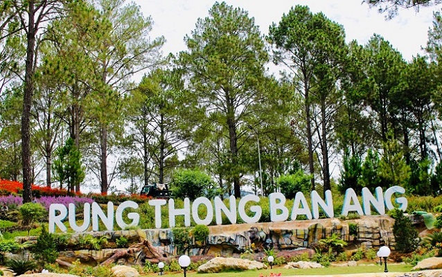 Tour Du Lịch Mộc Châu 2 Ngày 1 Đêm - Tour Nổi Bật Năm 2024
