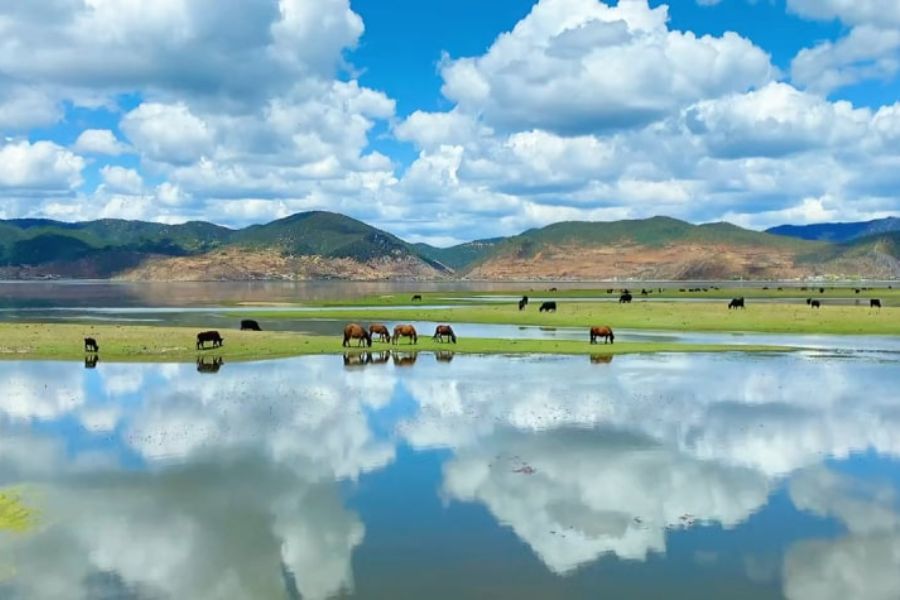 Tour Đại Lý – Lệ Giang – Shangrila – Côn Minh 6 Ngày 6 Đêm Đường Bộ