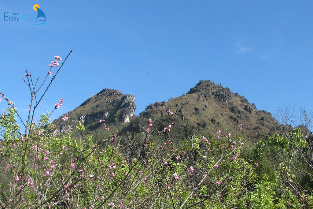 Tour Đền Ông Hoàng Bảy - SAPA 2 Ngày 1 Đêm Từ Hà Nội