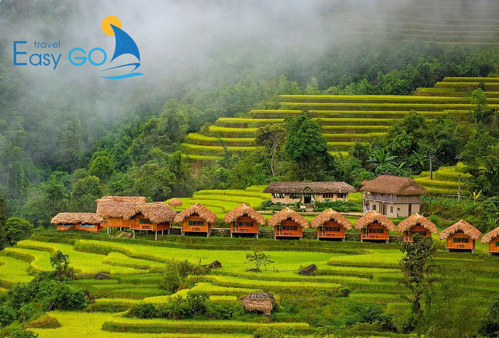 Tour Du Lịch Hoàng Su Phì 3 Ngày 2 Đêm Từ Hà Nội