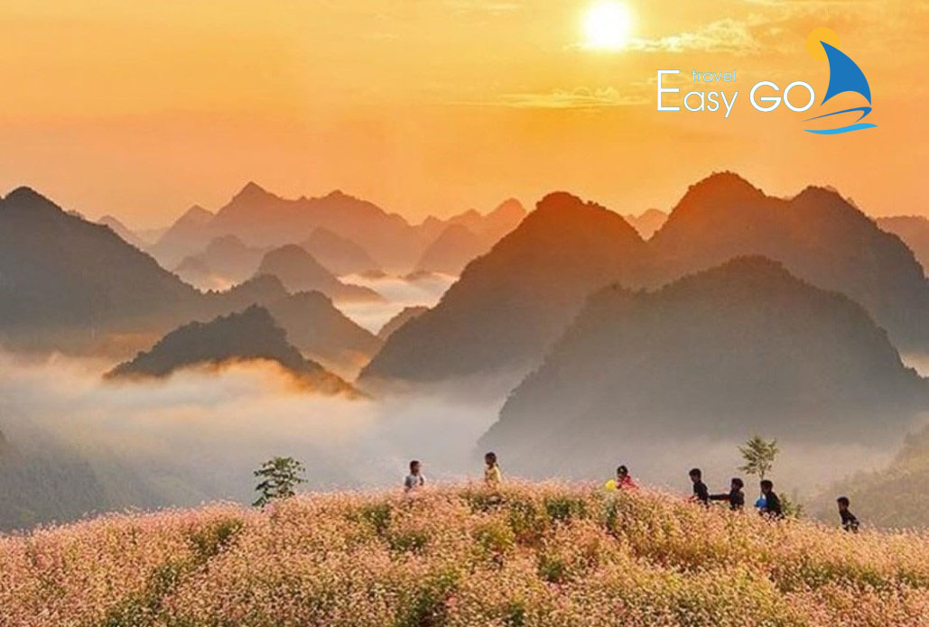 Tour Du Lịch Hà Giang Mùa Hoa Tam Giác Mạch 4 Ngày 3 Đêm