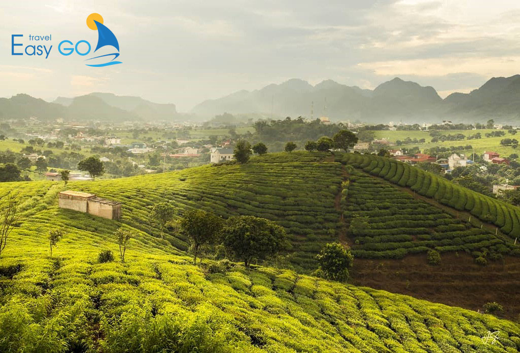 Tour Du Lịch Mộc Châu - Sơn La 2 Ngày 1 Đêm Từ Hà Nội