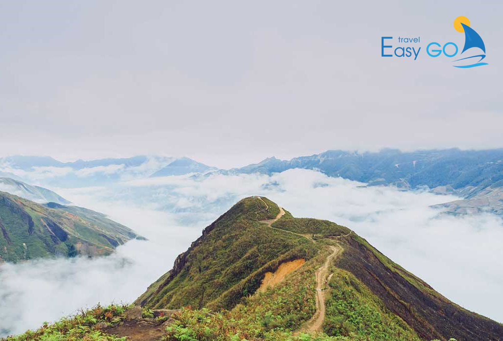 Tour Mộc Châu - Tà Xùa 3 Ngày 2 Đêm Khởi Hành Từ Hà Nội