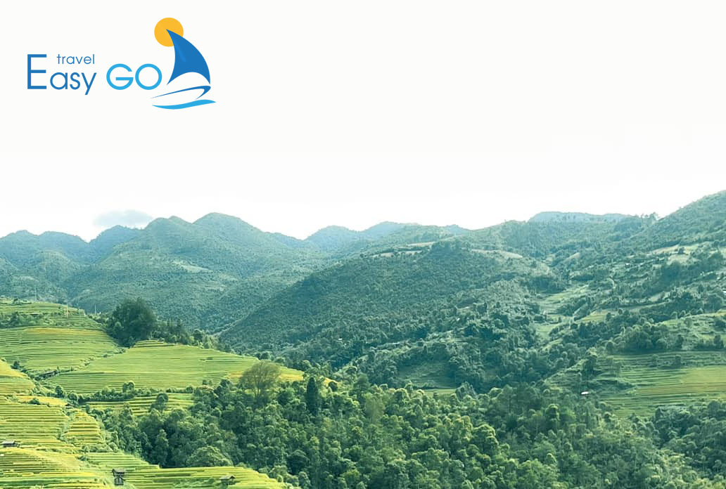 Tour Du Lịch Mù Cang Chải 3 Ngày 2 Đêm Mùa Lúa Chín Từ Hà Nội