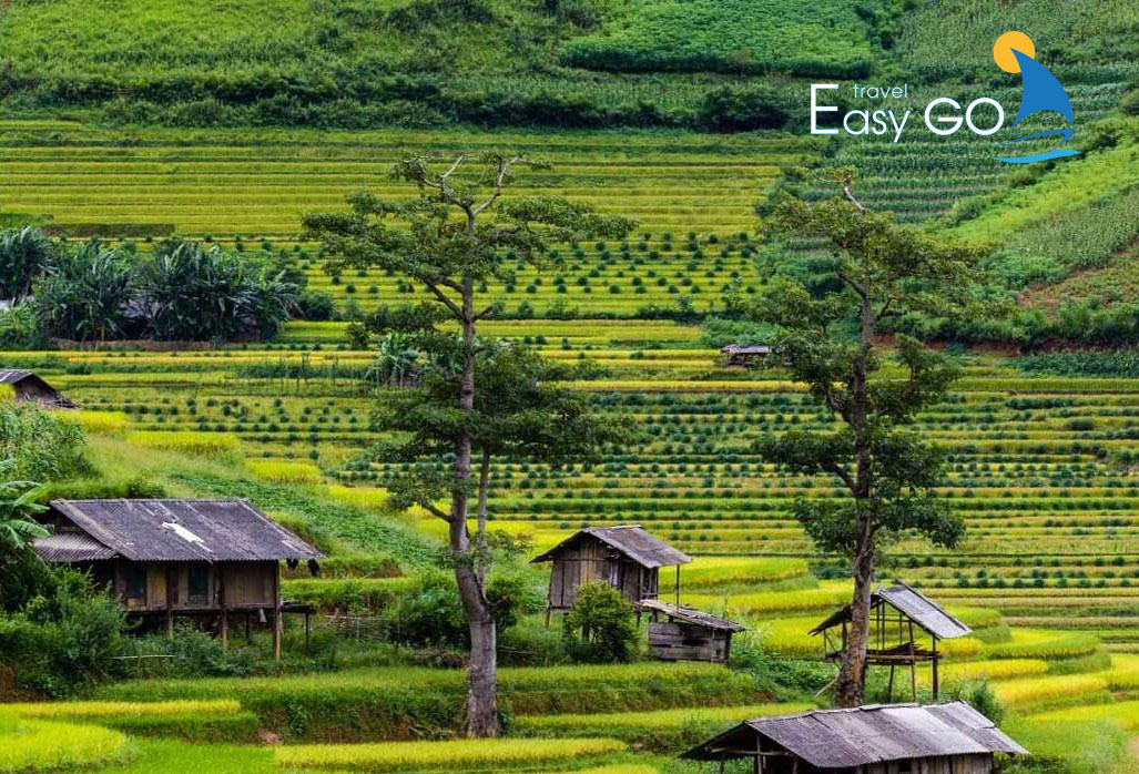 Tour Du Lịch Tây Bắc 5 Ngày 4 Đêm Từ Hà Nội Giá Tốt Nhất Năm 2024