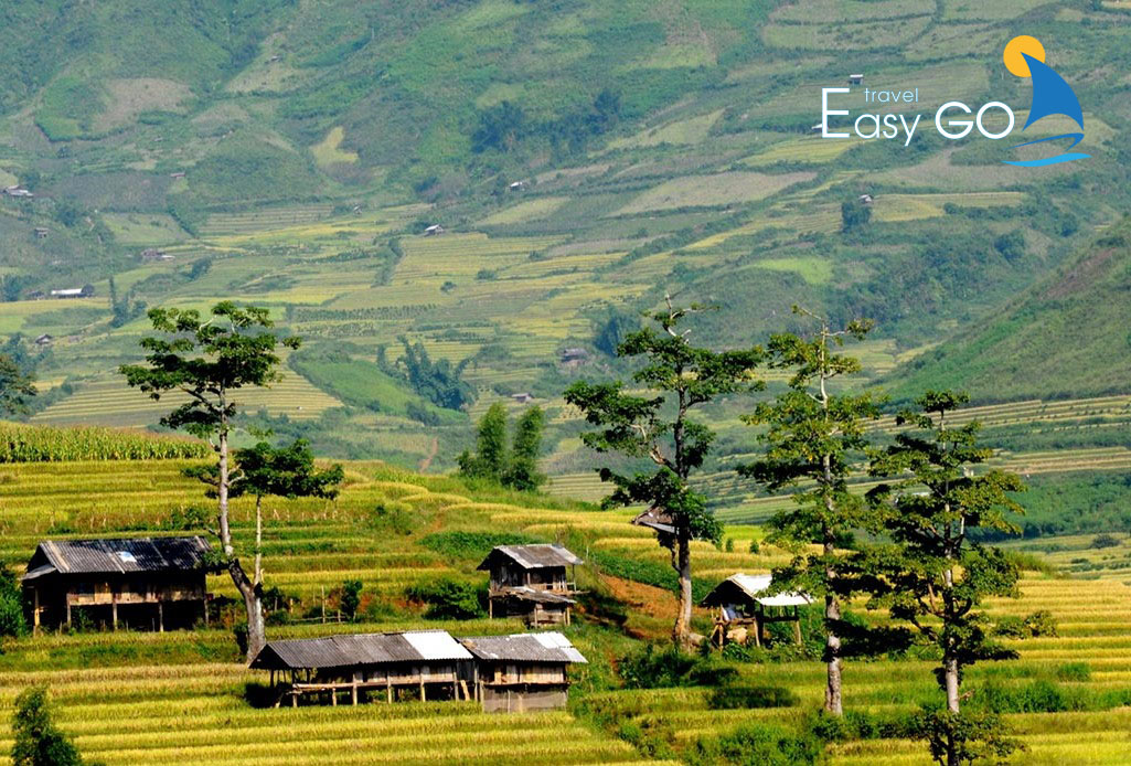 Tour Du Lịch Tây Bắc 5 Ngày 4 Đêm Từ Hà Nội Giá Tốt Nhất Năm 2024