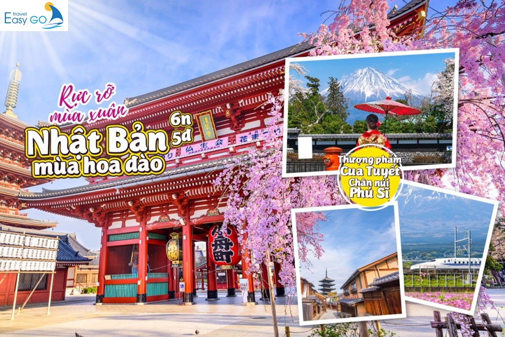 TOUR HÀ NỘI – NHẬT BẢN: TOKYO – HAKONE – NAGOYA – OSAKA 6 NGÀY 5 ĐÊM