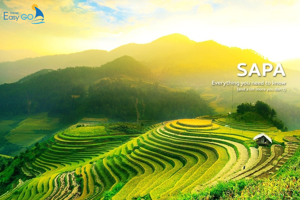 Tour Sapa 4 Ngày 3 Đêm Từ TPHCM (Hồ Chí Minh - SAPA)