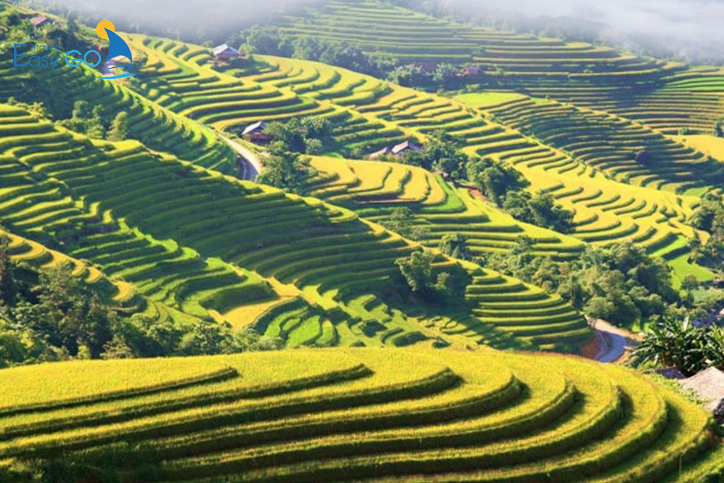 Tour du lịch Tây Bắc từ TP HCM - Tour Đông Tây Bắc 5 Ngày 4 Đêm