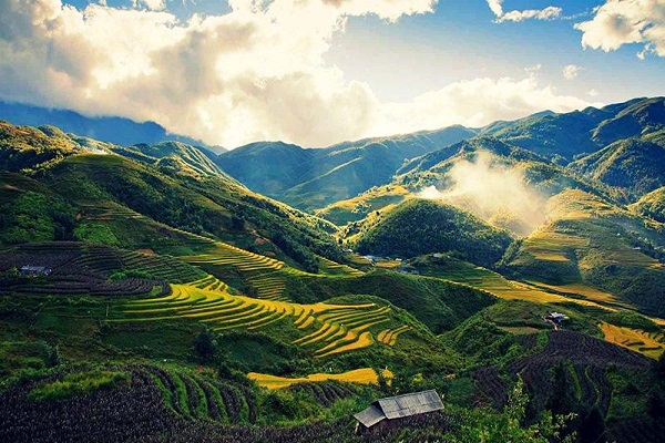 Tour Mộc Châu 3 Ngày 2 Đêm | Mộc Châu - Sơn La - Điện Biên