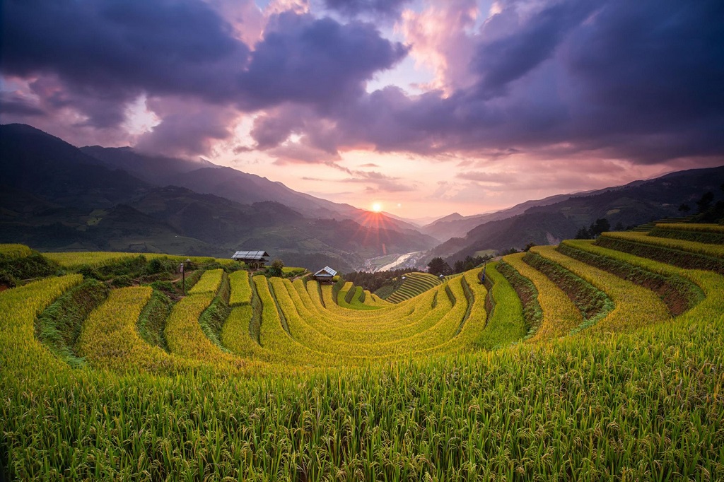 Tour Du Lịch Mù Cang Chải - Sapa 3 Ngày 2 Đêm Từ Hà Nội