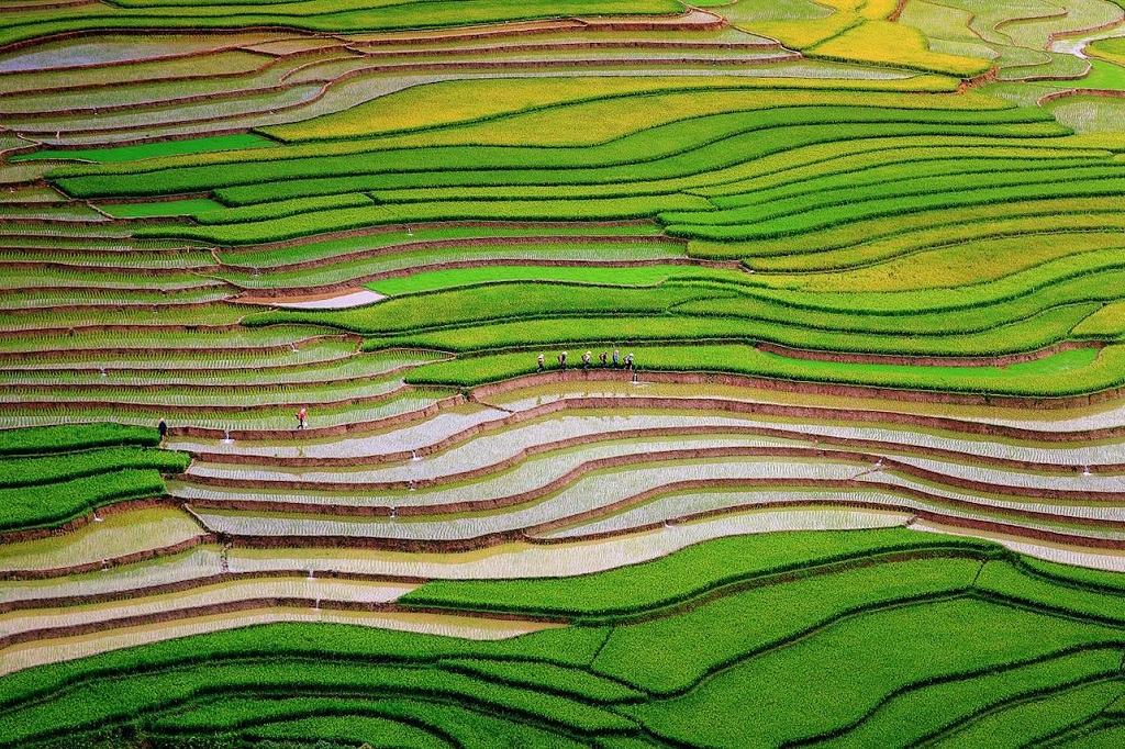 Tour Mù Cang Chải 2 Ngày 1 Đêm - Lộ Trình: Hà Nội - Mù Cang Chải - Tú Lệ