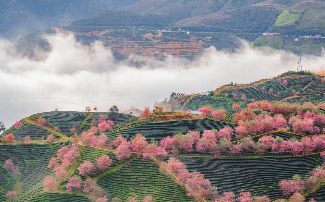 Tour Hà Nội - Sapa 3 Ngày 2 Đêm Trọn Gói 2024