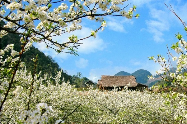 Tour Du Lịch Tây Bắc 4 Ngày 3 Đêm - Easy Go Travel