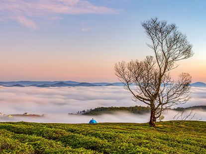 Đà Lạt