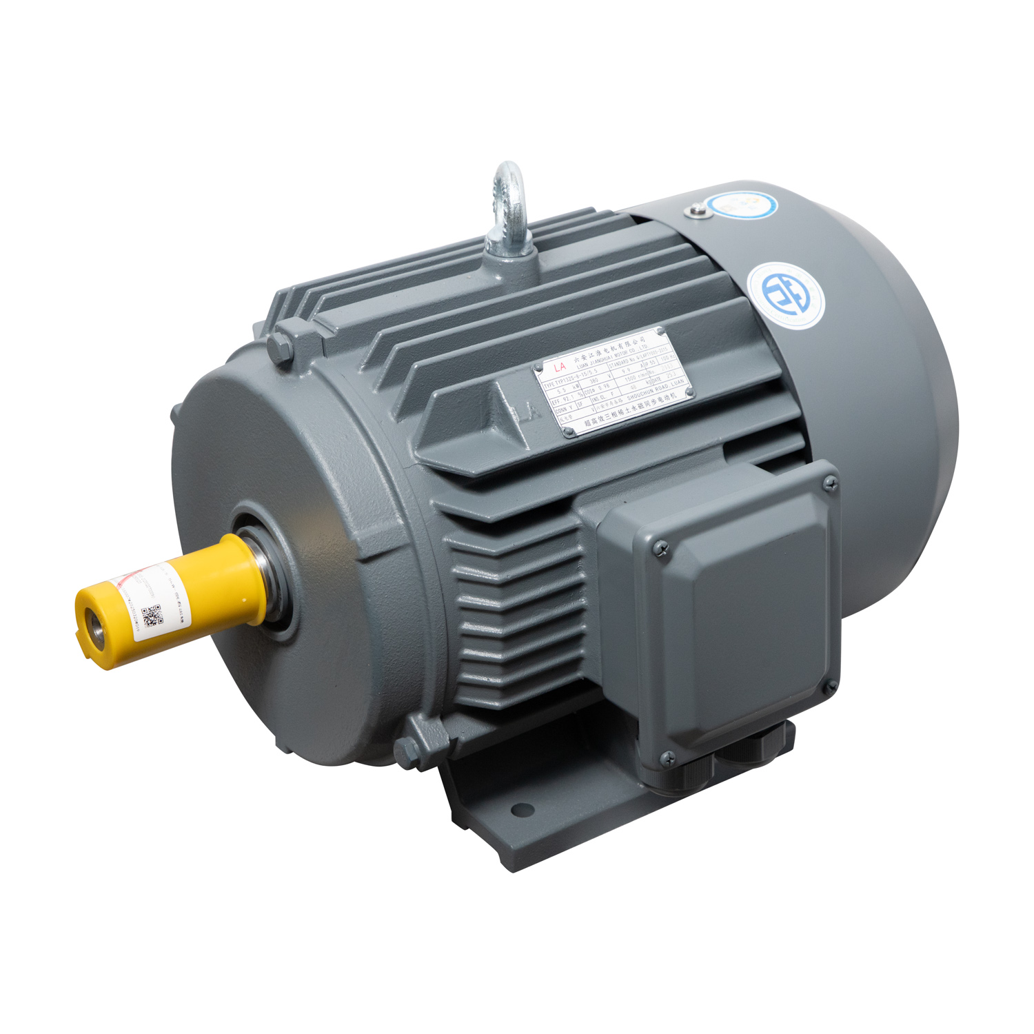 Motor LAEG TYP Series – Động cơ đồng bộ nam châm vĩnh cửu