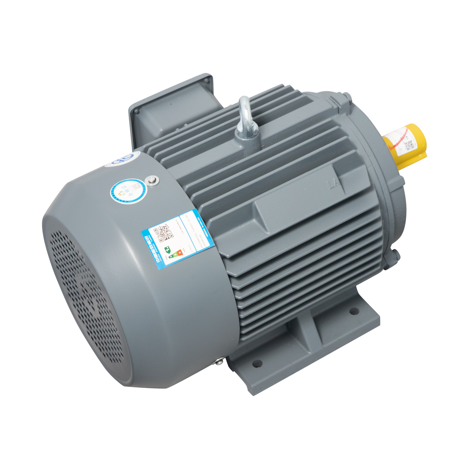 Motor LAEG TYP Series – Động cơ đồng bộ nam châm vĩnh cửu