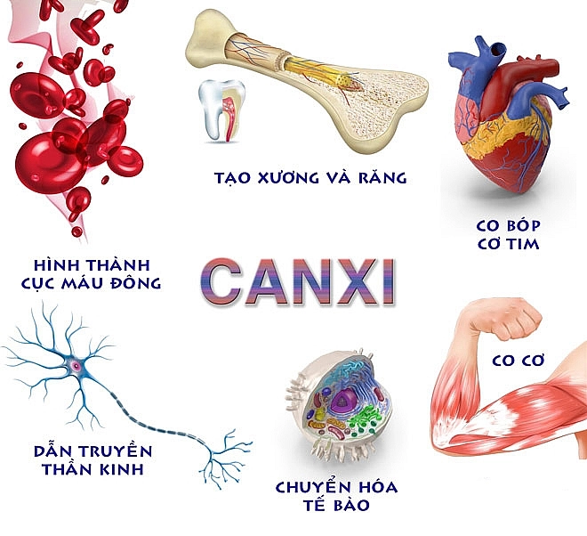 Nhu cầu canxi của trẻ theo mỗi giai đoạn phát triển - Nước trái cây hồng sâm