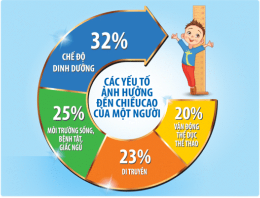 vi-sao-nuoi-con-mai-ma-khong-tang-chieu-cao-dat-chuan-hanmi-vietnam-3