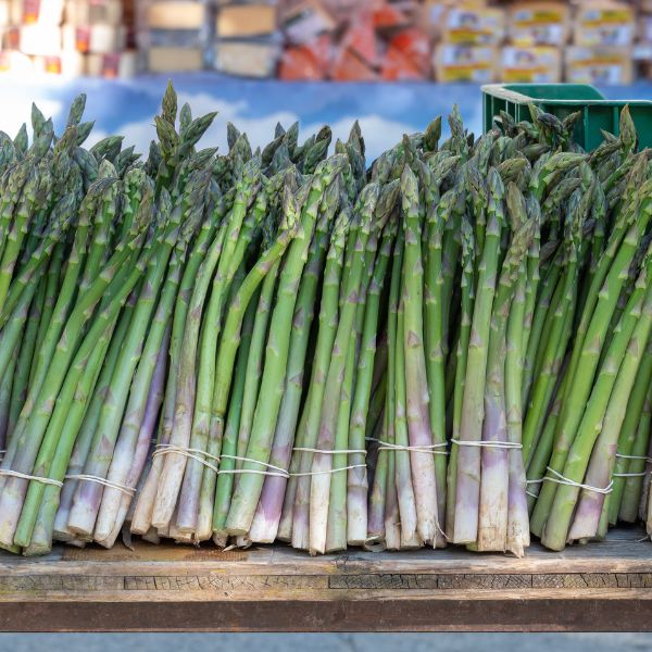 Hạt giống măng tây Grande - Walker Brothes - Mỹ