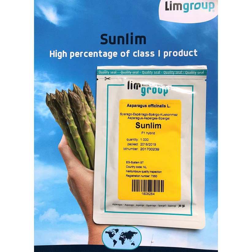 Hạt giống măng tây Sunlim - Limgroup - Hà Lan
