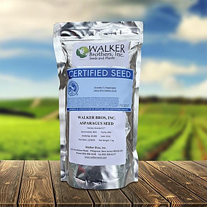 Hạt giống măng tây Grande - Walker Brothes - Mỹ