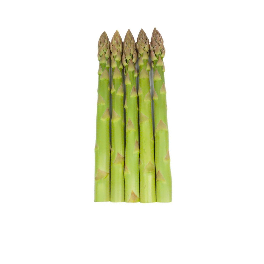 Cây giống măng tây xanh - Giống Nhật Bản