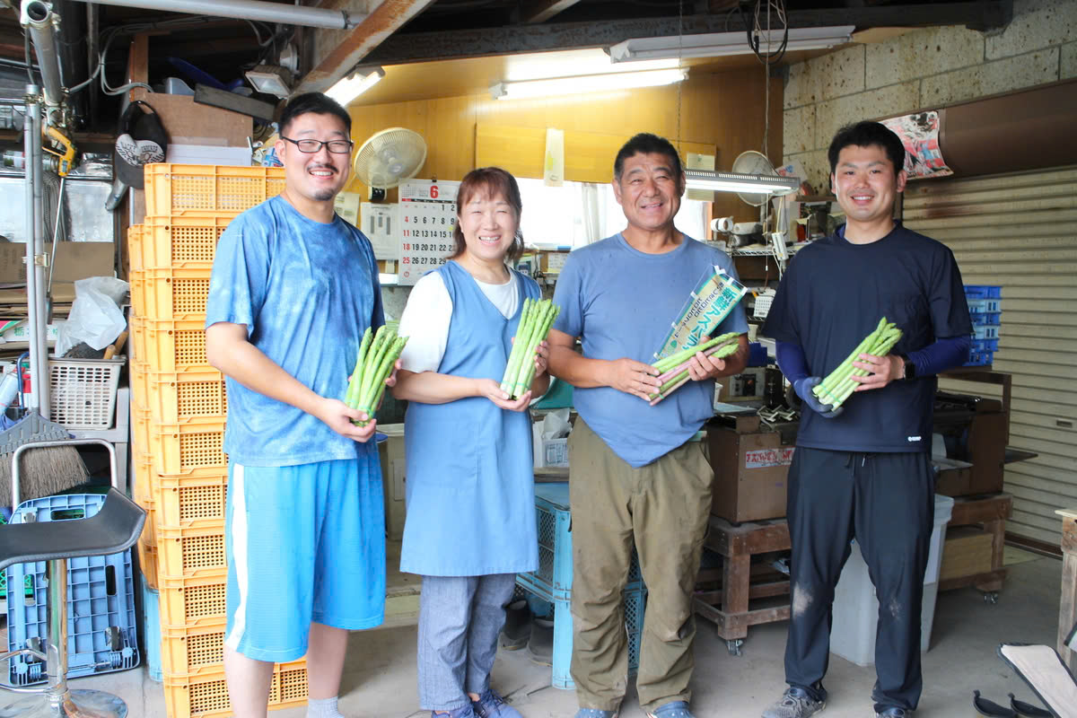 Hạt giống măng tây xanh Nhật Bản