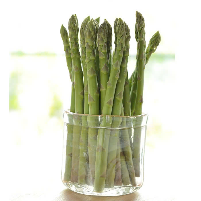 Cây giống măng tây xanh - Giống Nhật Bản