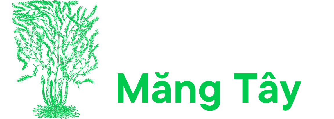 logo Giống măng tây