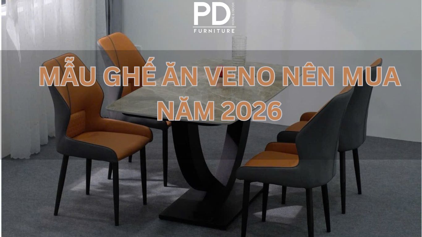 Mẫu ghế ăn Veno nên mua năm 2026