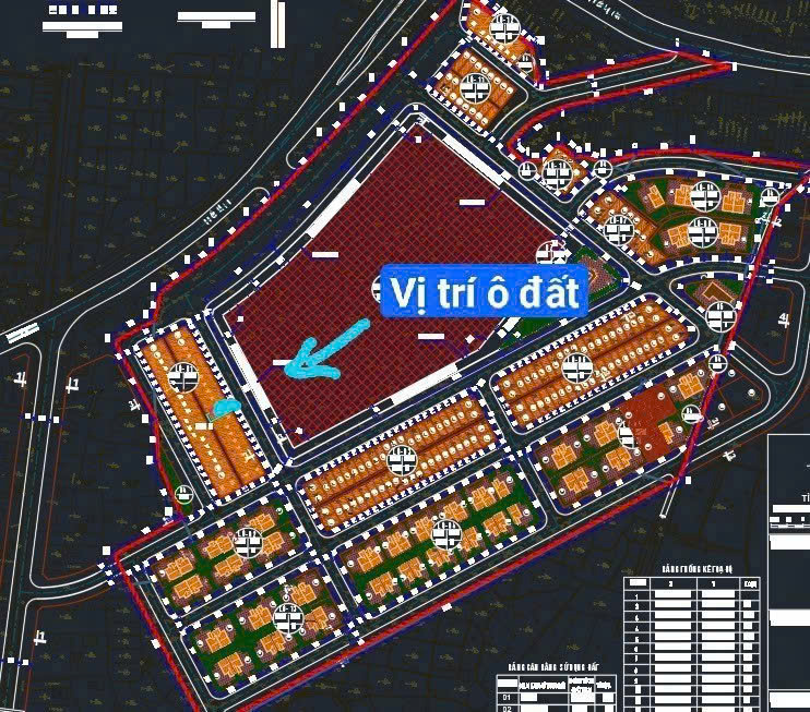 A595 - ô số 10 - QH Trung tâm thương mại cầu sến - Bí Trung 1 - Phương Đông